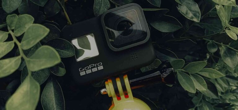 Thieving bird gives aerial view of national park in New Zealand after stealing camera